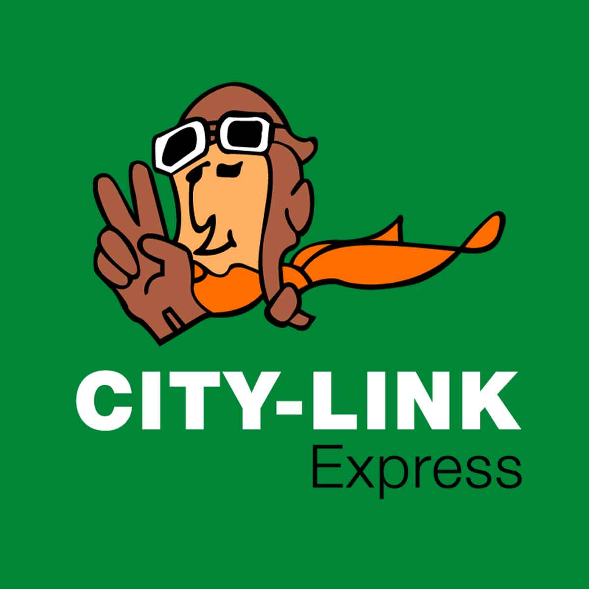 Manage your City-Link Express shipment easily with the City-Link Express App.