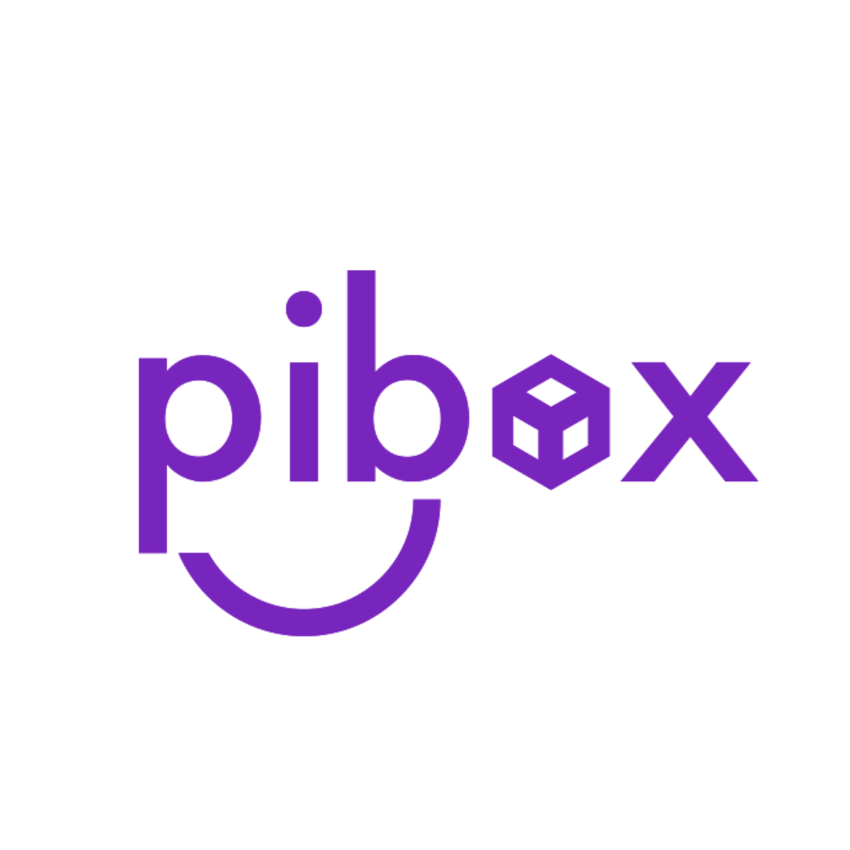 Entregas rápidas y confiables con Pibox Business, simplifica tus envíos e-commerce logo