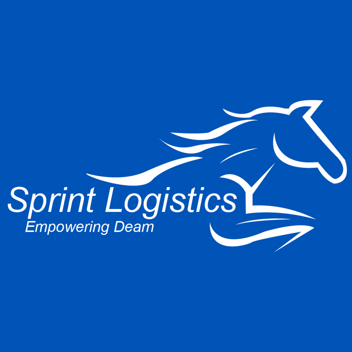 Welcome to Sprint Logistics, the ultimate solution for streamlining your e-commerce operations