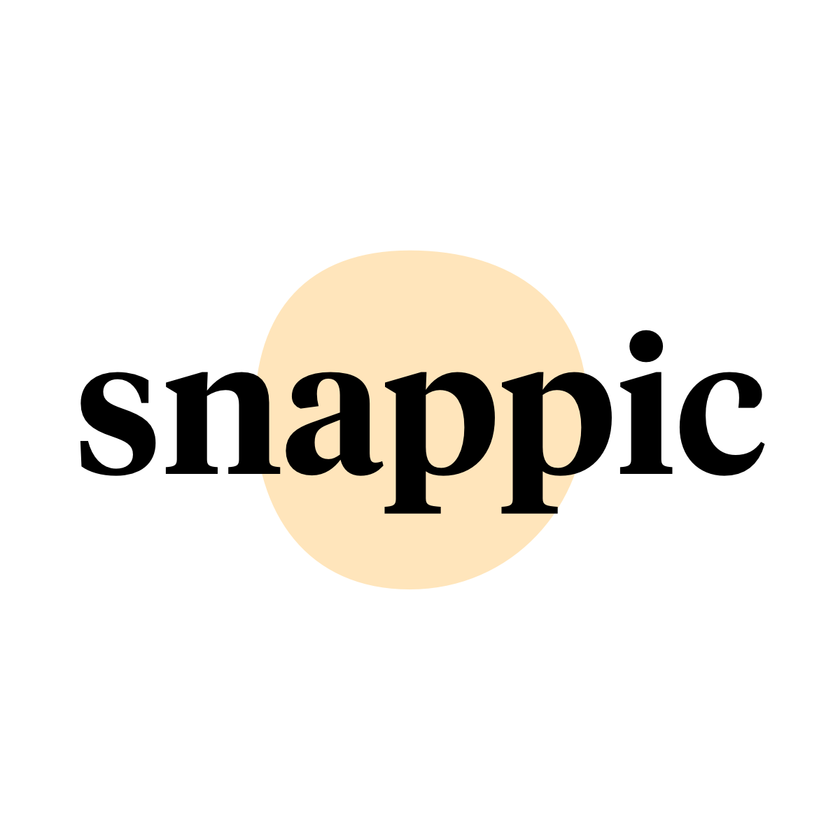 Snappic is a straightforward tool for easily creating and managing paid ad campaigns. logo