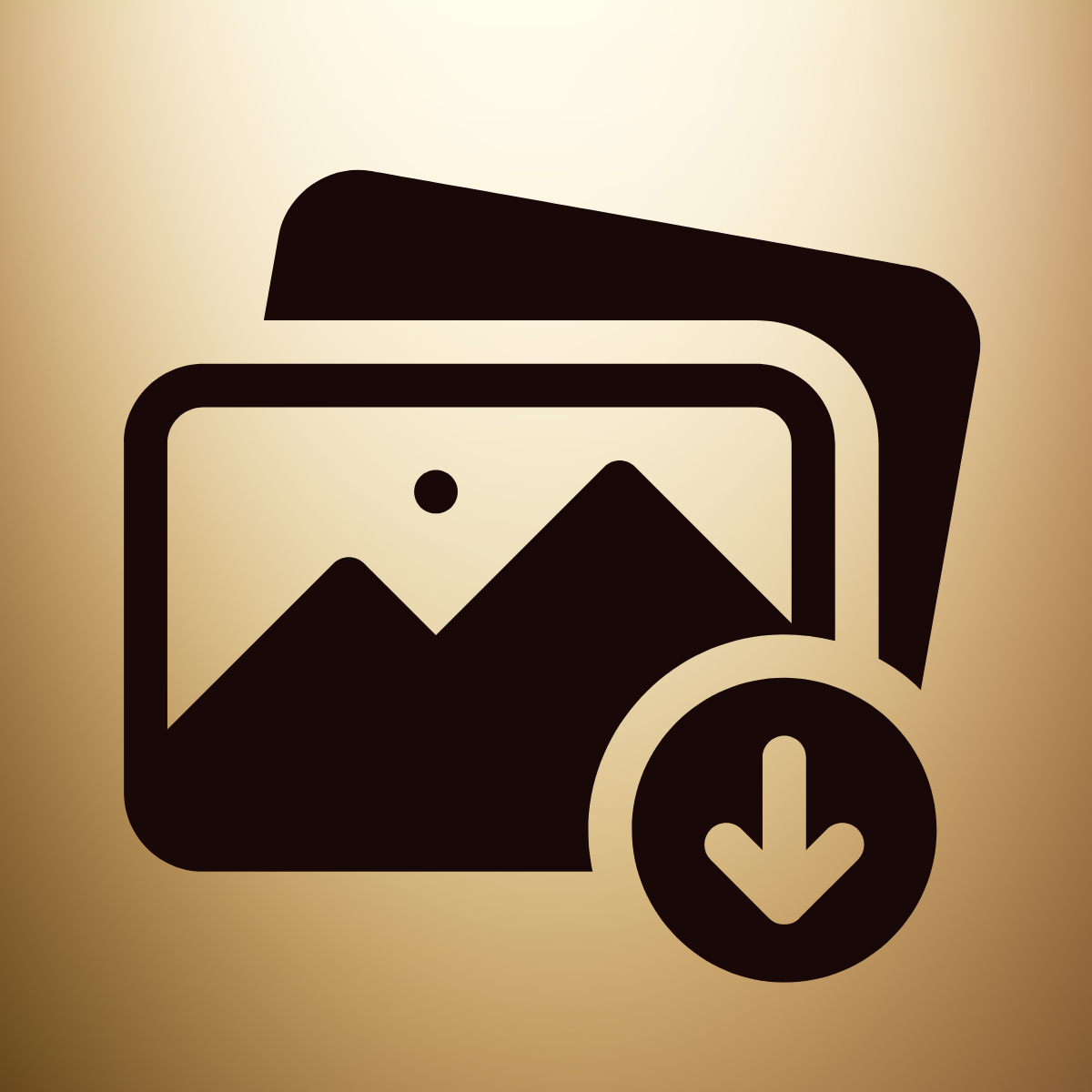 Bulk export product images by status, collection, date, vendors and download images to your computer logo