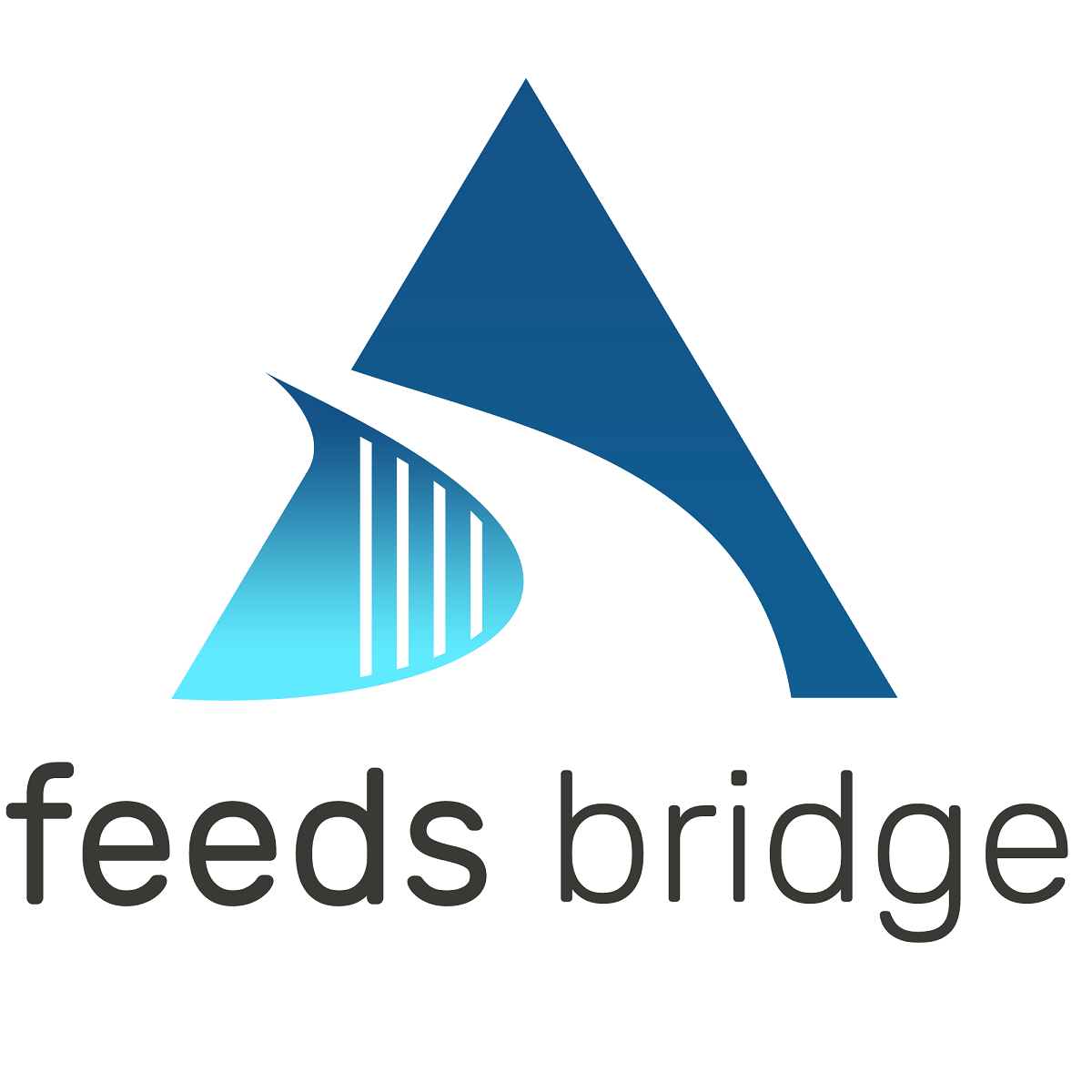 Source products from different feeds and keep your catalog up to date with Feeds Bridge. logo