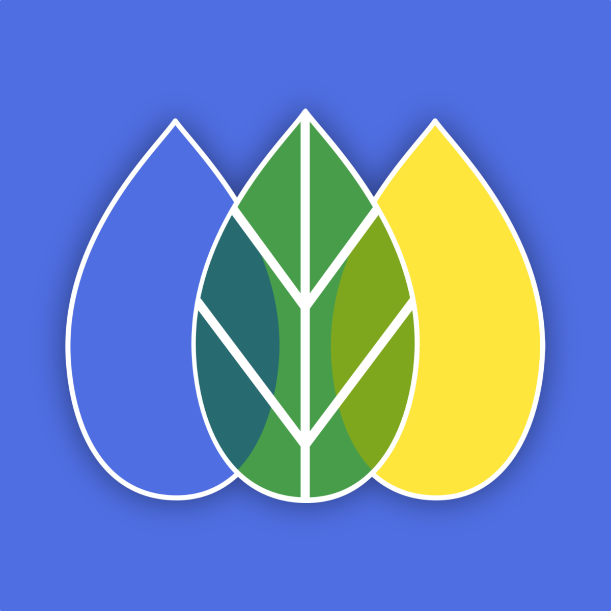 SEO Manager | SEO Optimizer logo