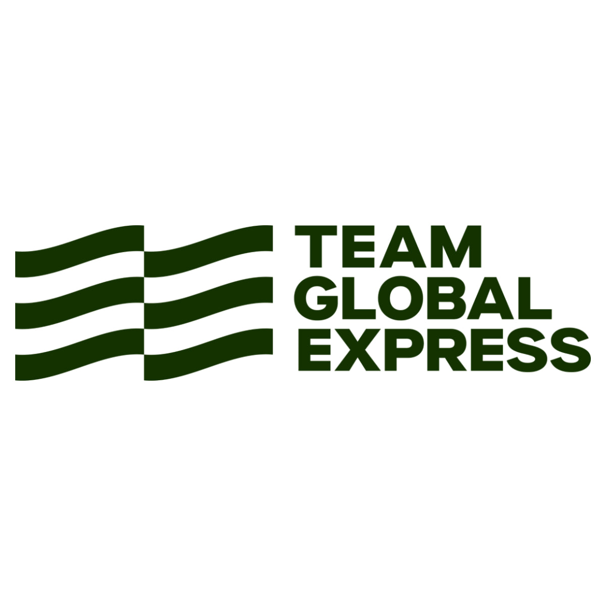 Generate your shipping documentation with Team Global Express just in few clicks!