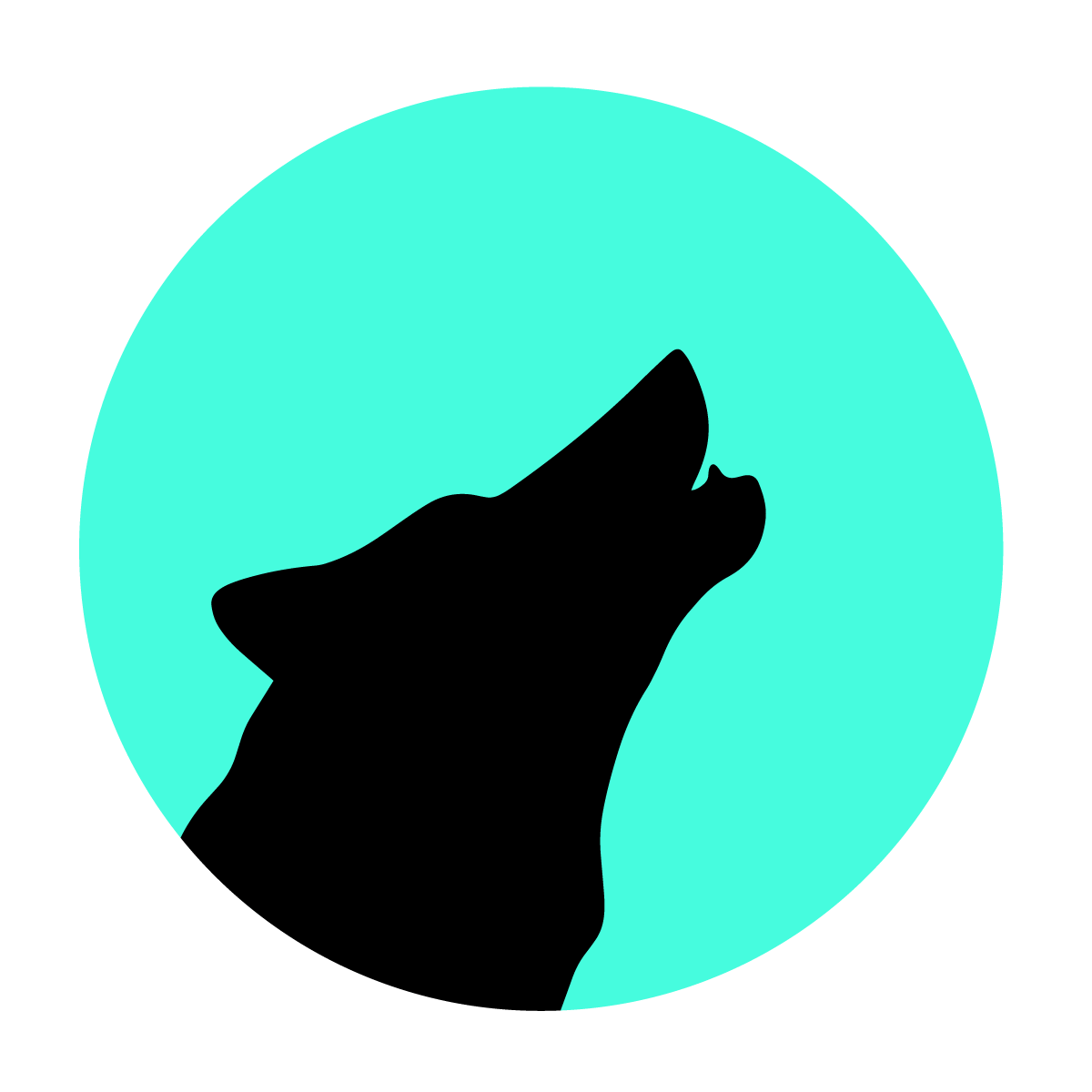 Calculate shipping rates by commune, weight and delivery time (exclusive Chile).