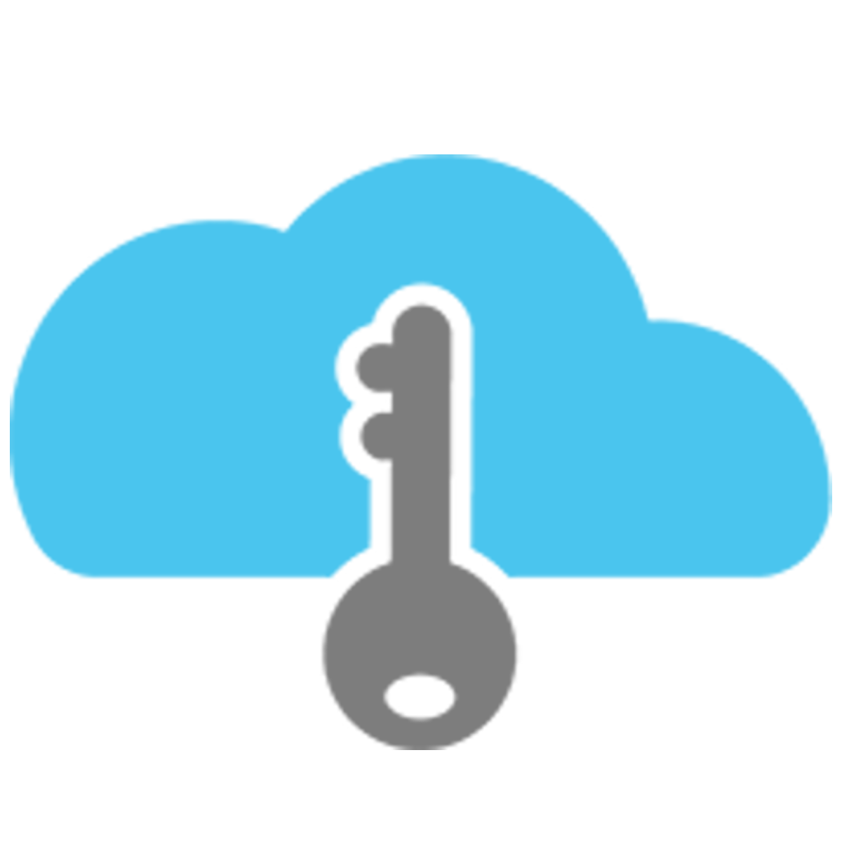 Generates license keys and software subscriptions on the LicenseSpring platform