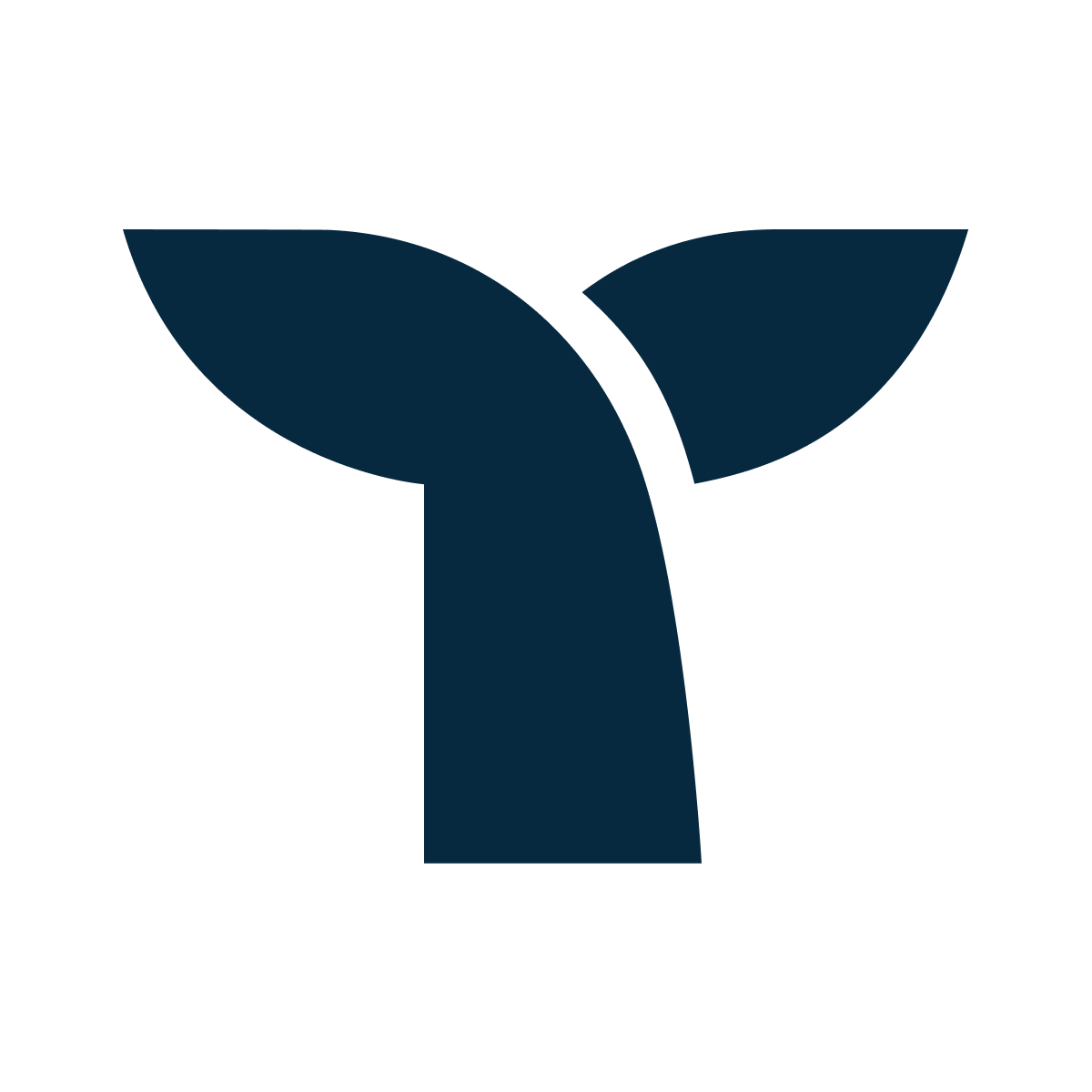 Triple Whale Analytics logo