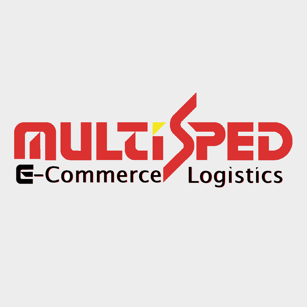 Multisped - your experienced partner for e-commerce logistics