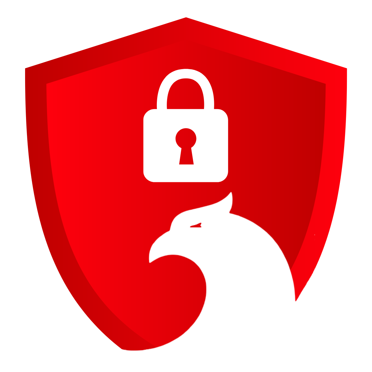 Block unwanted traffic & control store access by country