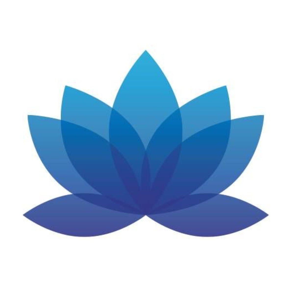 Build a print-on-demand business with winning designs and effortlessly fulfillment. logo