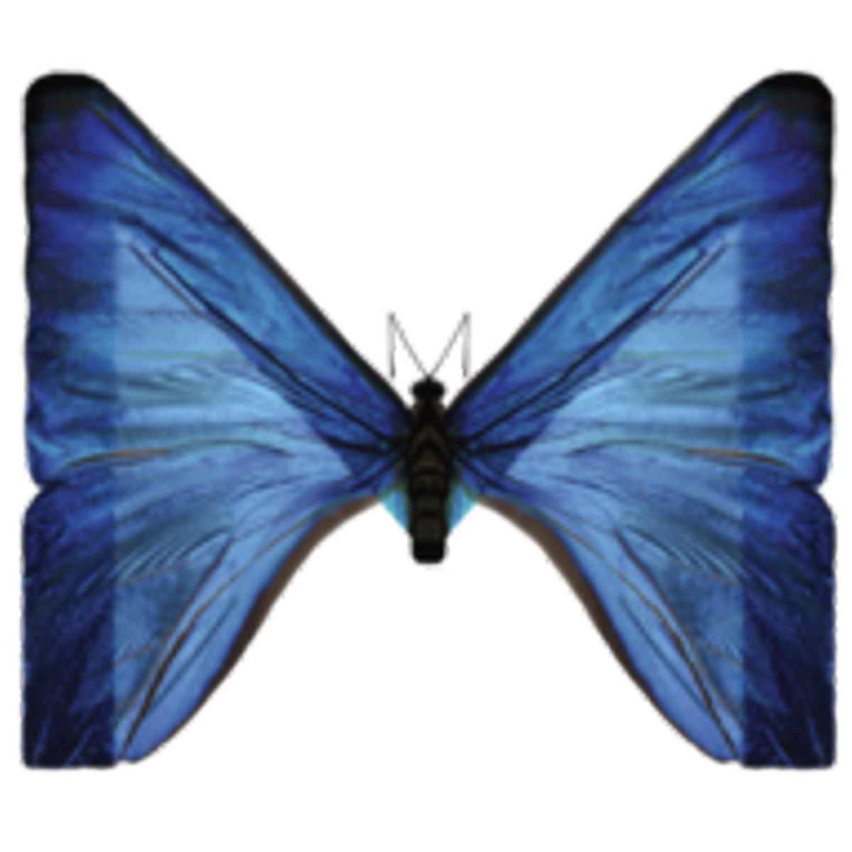 Unleash your products in stunning interactive 3D. Transform your store instantly. No skills required logo