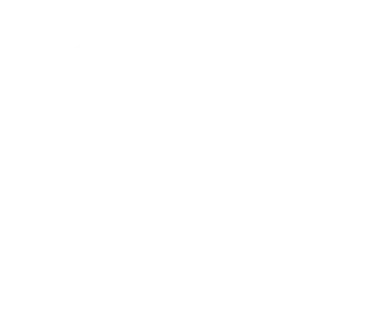 PARIS HILTON GROOMING logo
