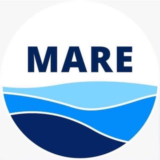 MARE PESCADOS logo