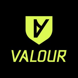 Valour Sport logo