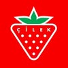Çilek Odası logo