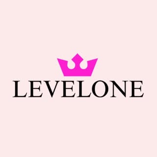 Levelone GmbH & Co. KG logo