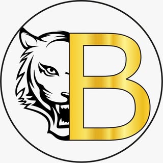 BAROCCO logo