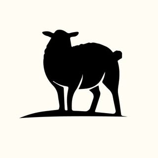 The Cozy Sheep logo