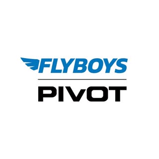 FlyBoys logo