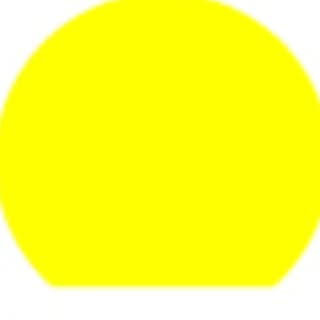 DELSEY PARIS INT logo