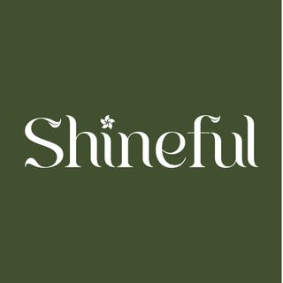 Shineful.net logo