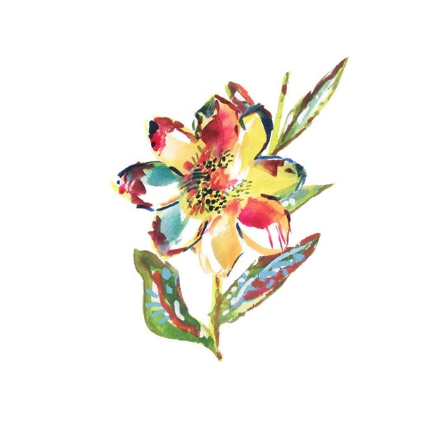 Dreams After All logo