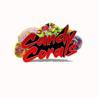 Candy Corals logo