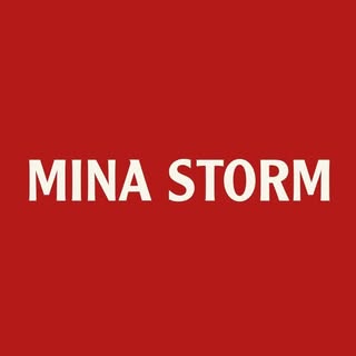 Mina Storm logo