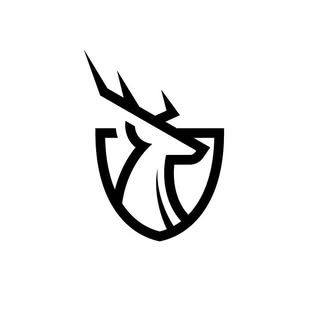 STRAMMER MAX PERFORMANCE® logo