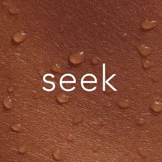 Seek Skincare & Wellness logo
