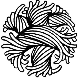 Christopher Nemeth logo