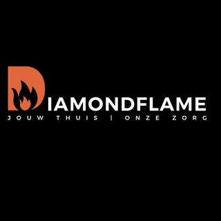 Diamondflame.nl logo