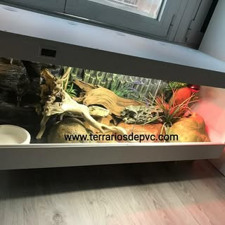 Terrarios de Pvc logo