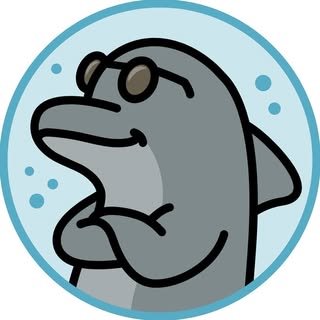 All Everything Dolphin logo
