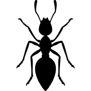 ANT SHACK - Formicarium & Ant Farm Shop logo