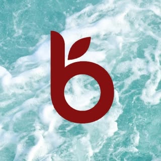 balaveda logo