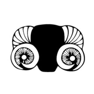 Skyeskyns logo