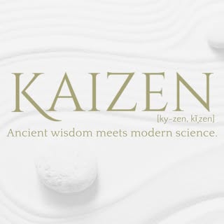 Kaizen logo