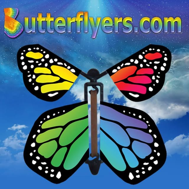 Butterflyers logo