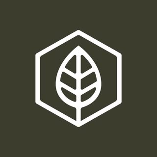 Terra Health Essentials logo