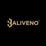 BALIVENO FASHION HOUSE LTD logo