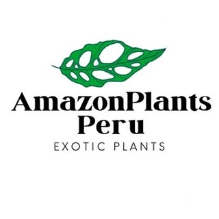Amazon Plants Peru logo