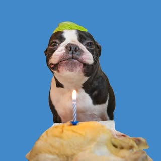 Toby Collection logo