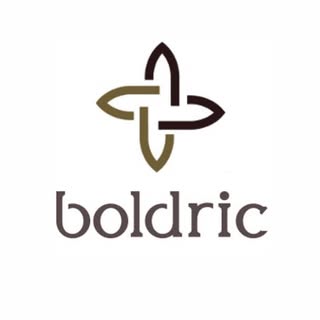 Boldric logo