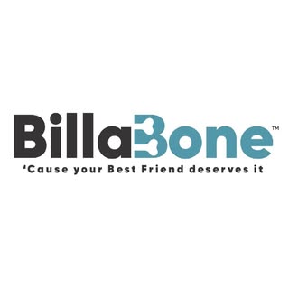 Billabone logo