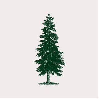 The Old Yew Plant Shop logo