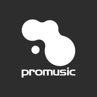 Promusic logo