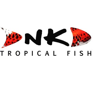 NKTropicalfish.com logo