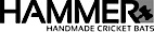 Hammer Cricket logo
