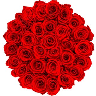 L'Eternelle Rose - Rose éternelle et flowerbox logo